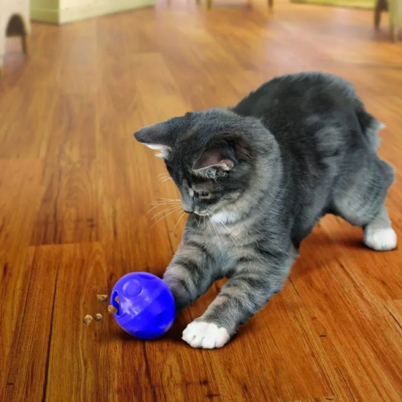 [20% OFF] KONG Cat Treat Dispensing Ball Toy