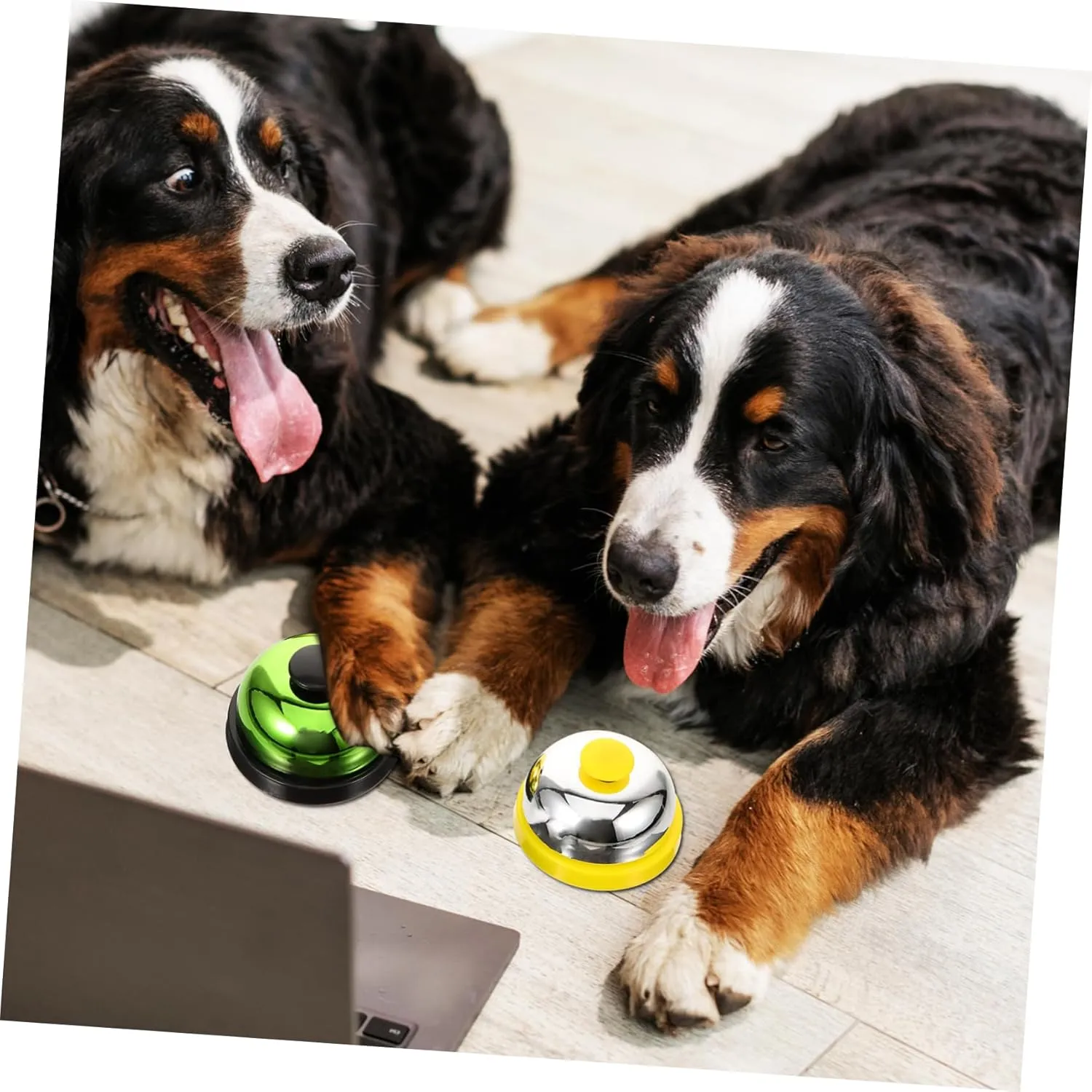 6 Pcs Dog Training Bell Pet Bell for Training Toys The Dog Puppies Training Bell Rabbit Cage Pan Replacement Aquarium Moss Puppy Cat Pottybell Desk Service Bell Trainer Vocalize