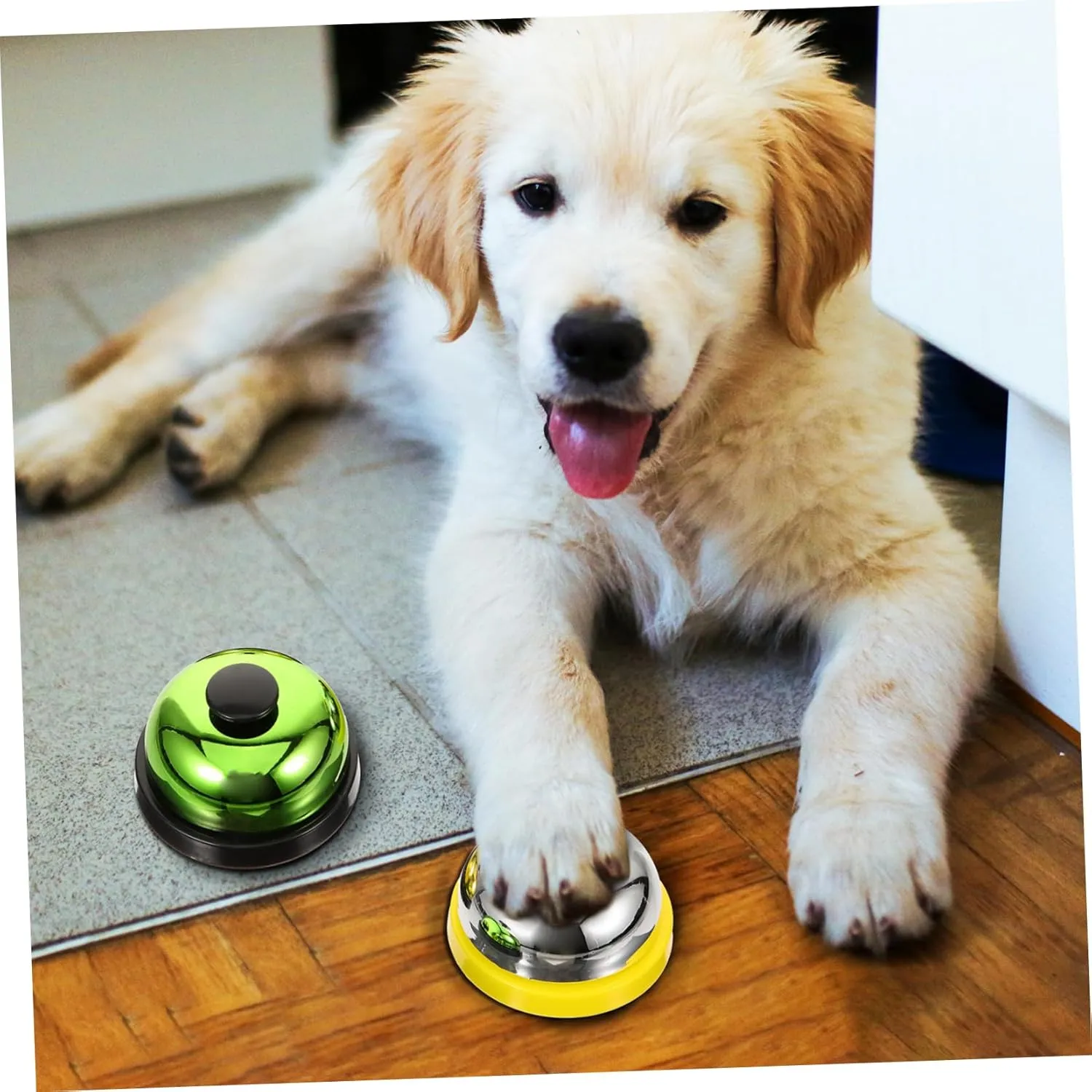 6 Pcs Dog Training Bell Pet Bell for Training Toys The Dog Puppies Training Bell Rabbit Cage Pan Replacement Aquarium Moss Puppy Cat Pottybell Desk Service Bell Trainer Vocalize