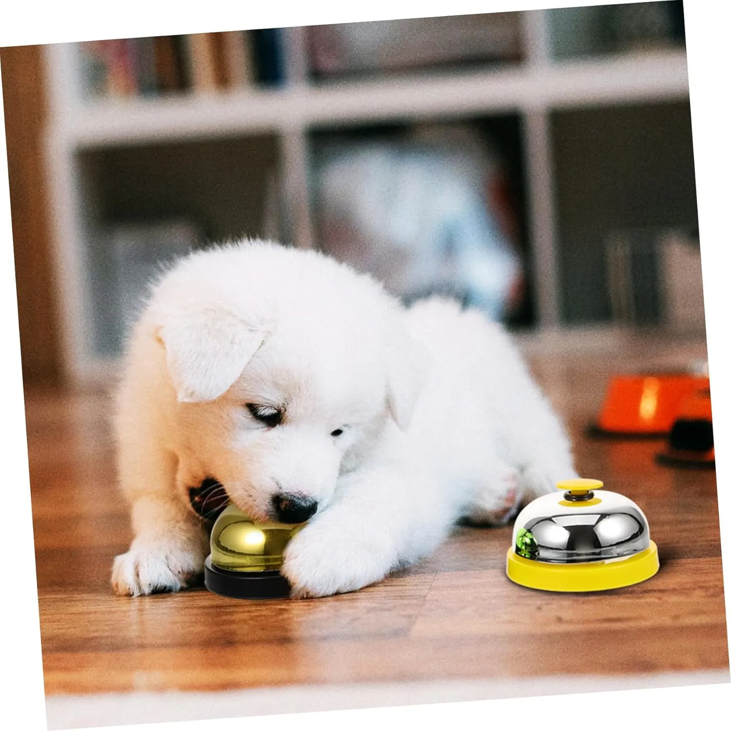 6 Pcs Dog Training Bell Pet Bell for Training Toys The Dog Puppies Training Bell Rabbit Cage Pan Replacement Aquarium Moss Puppy Cat Pottybell Desk Service Bell Trainer Vocalize