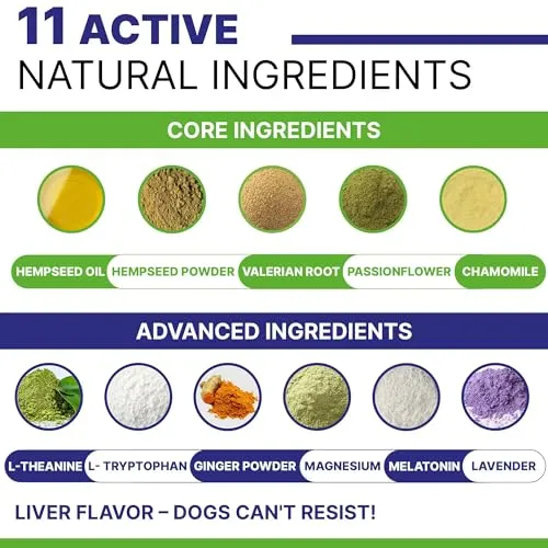 Advanced Hemp Hip & Joint Supplement for Dogs - Glucosamine for Dogs - Dog Joint Pain Relief Treats - Chondroitin Turmeric MSM Hemp Oil - Hemp Treats for Joint Health - Peanut Butter-240Сt
