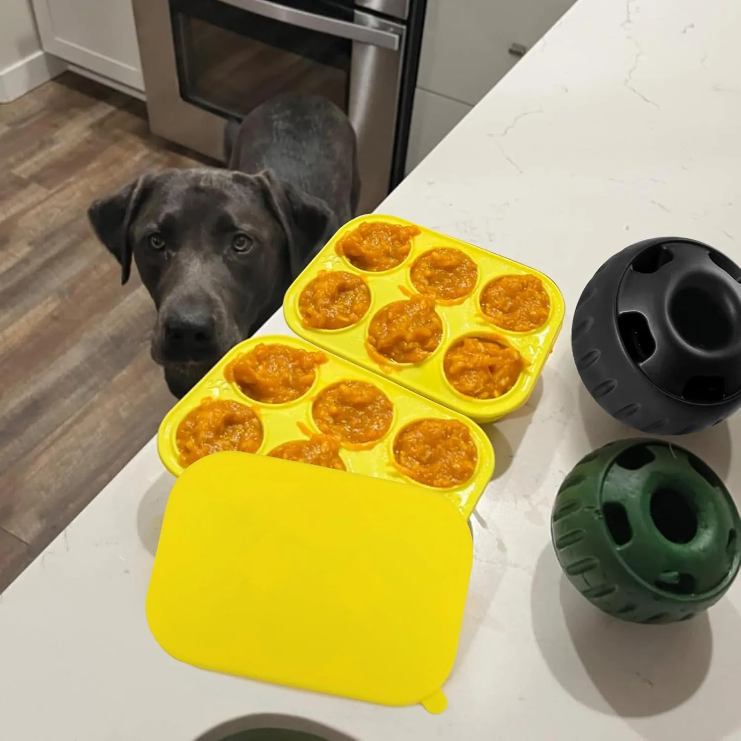 BABORUI 6 Cavities Silicone Dog Treat Molds for Woof Pupsicle & Power Chewer Pupsicle Large 25-75lbs, Reusable Frozen Dog Treat Molds for Making Puppy Favorite Freeze Refill Ice Popsicle Treats (L)