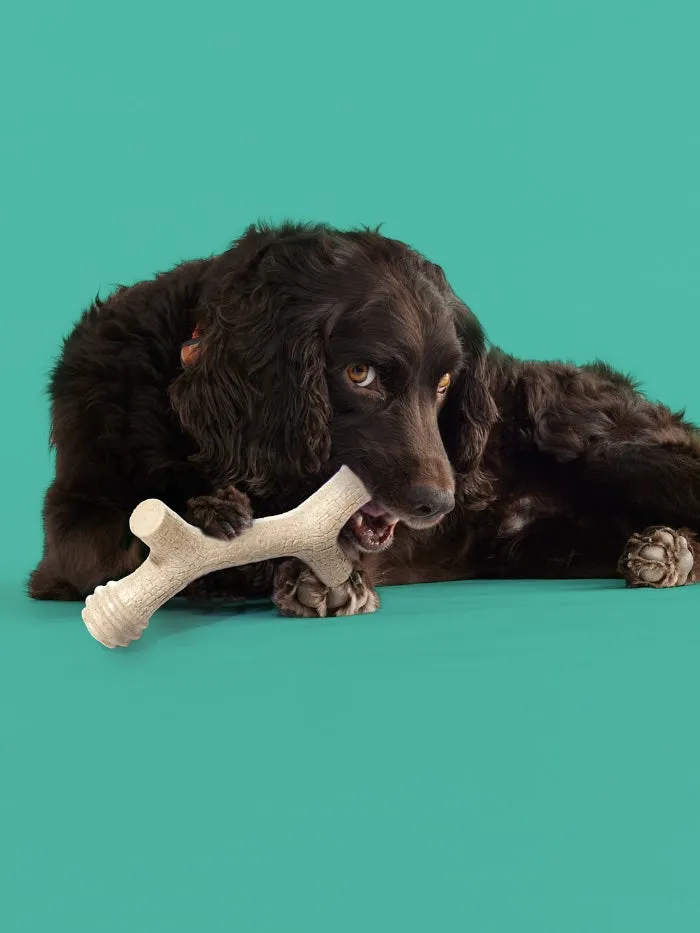 Barkin' Bone