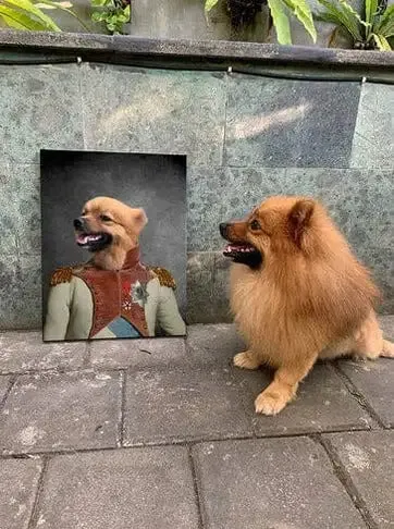 Baron D. Zert - Renaissance Inspired Custom Pet Portrait Canvas