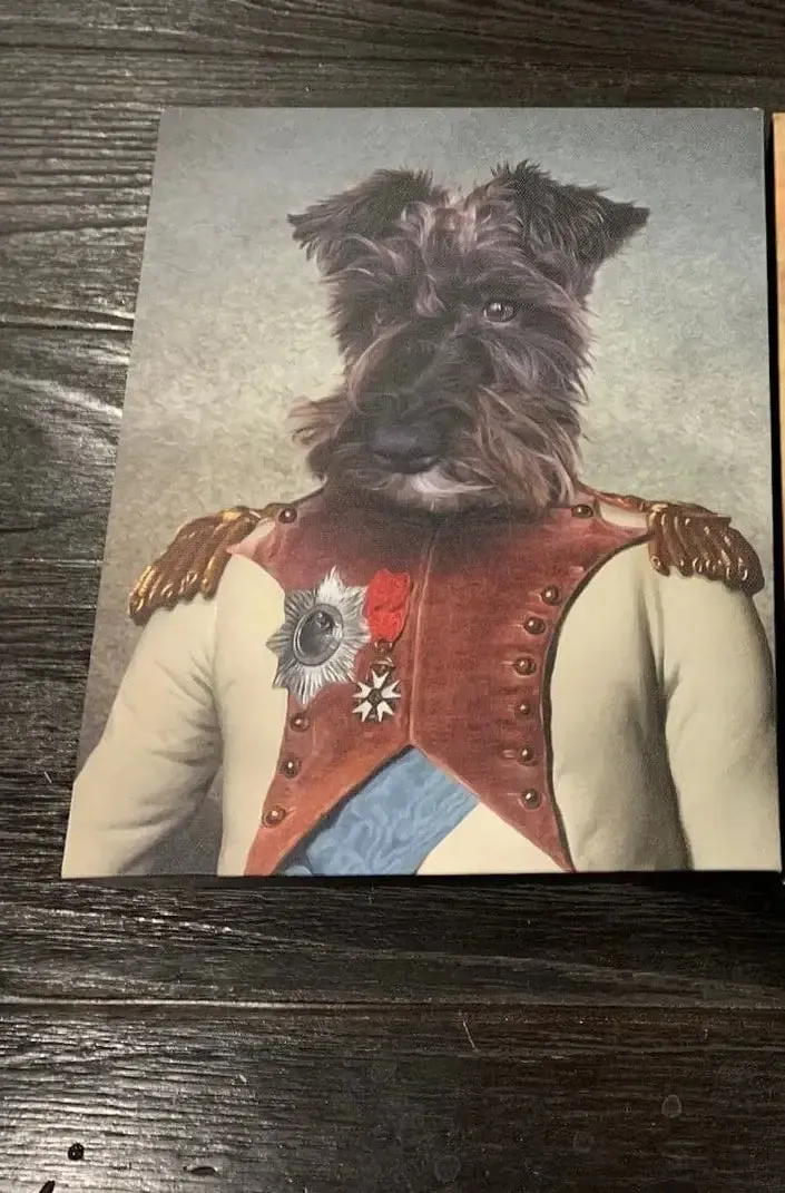 Baron D. Zert - Renaissance Inspired Custom Pet Portrait Canvas