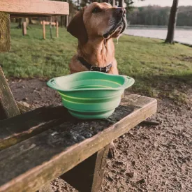 Beco Travel Bowl