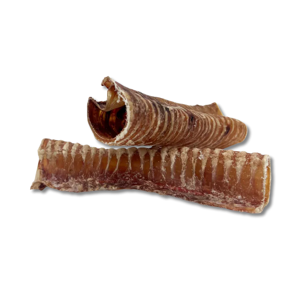 Beef Trachea 6in - 4ct