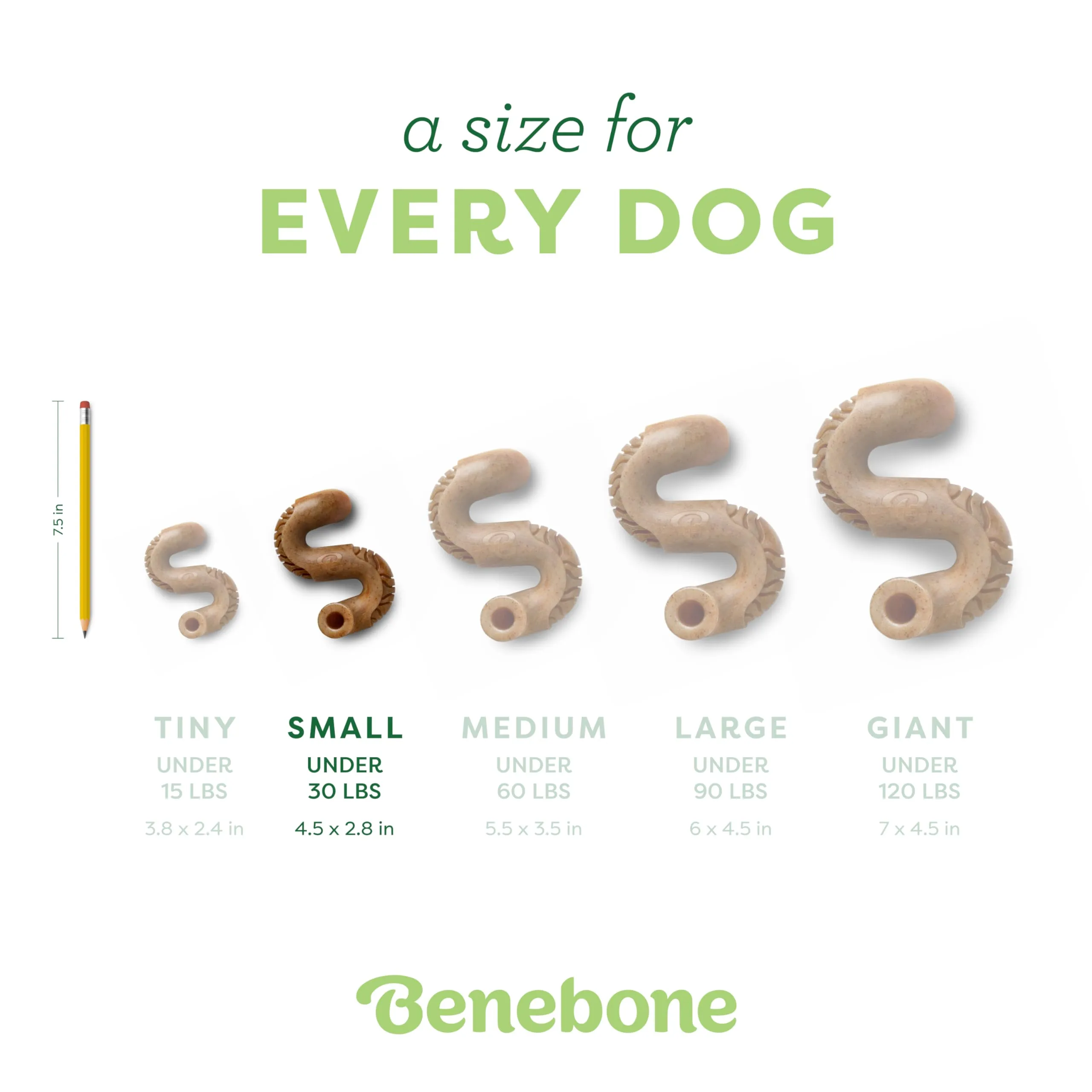 Benebone Tripe Bone Made in USA Real Beef Tripe Flavored Durable Chew Dog Toy