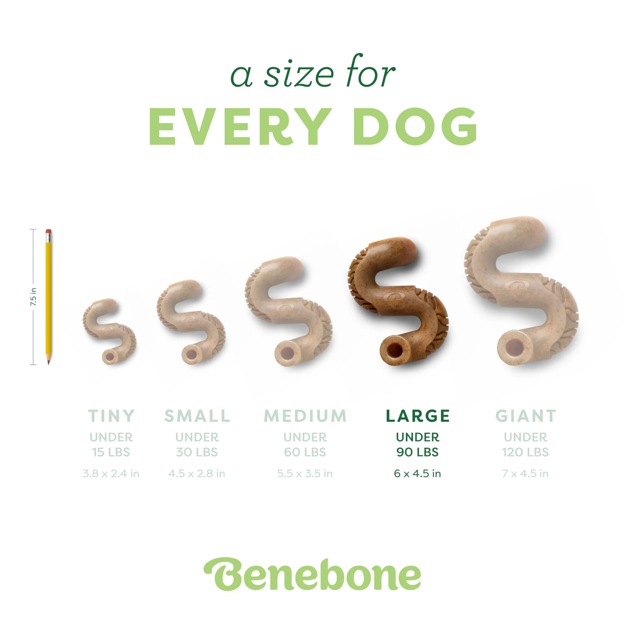 Benebone Tripe Bone Made in USA Real Beef Tripe Flavored Durable Chew Dog Toy