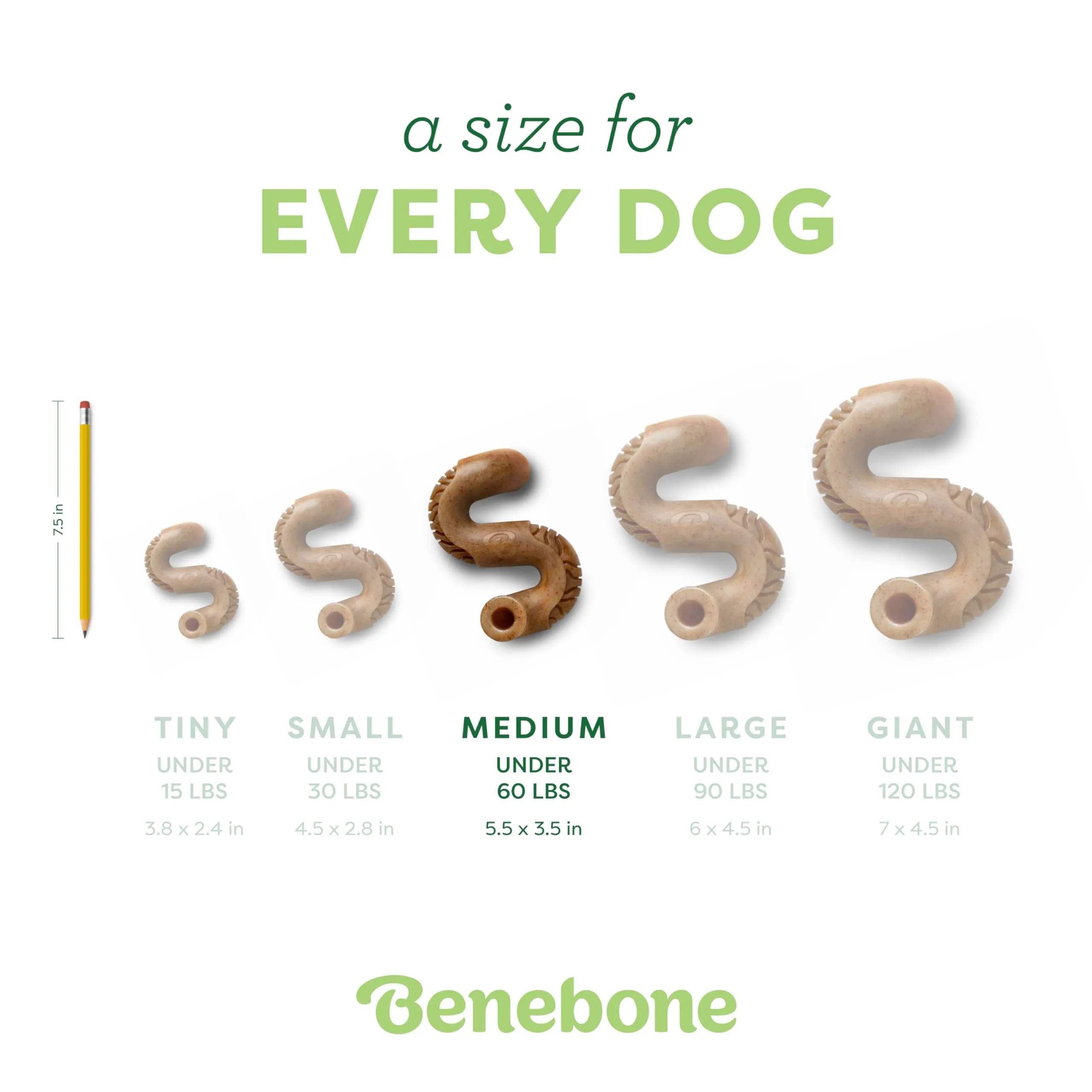Benebone Tripe Bone Made in USA Real Beef Tripe Flavored Durable Chew Dog Toy
