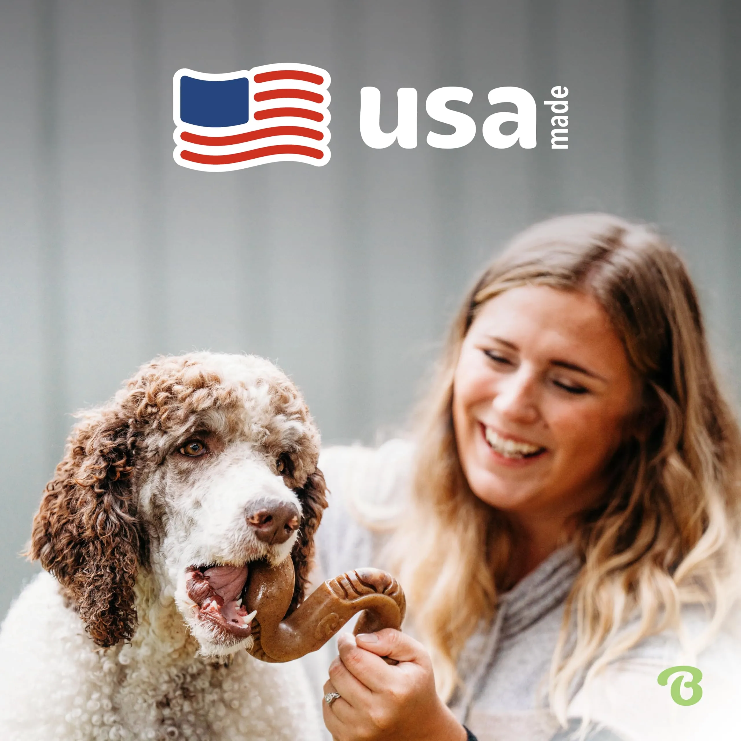 Benebone Tripe Bone Made in USA Real Beef Tripe Flavored Durable Chew Dog Toy