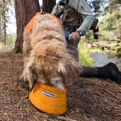 Bivy™ Collapsible Dog Bowl