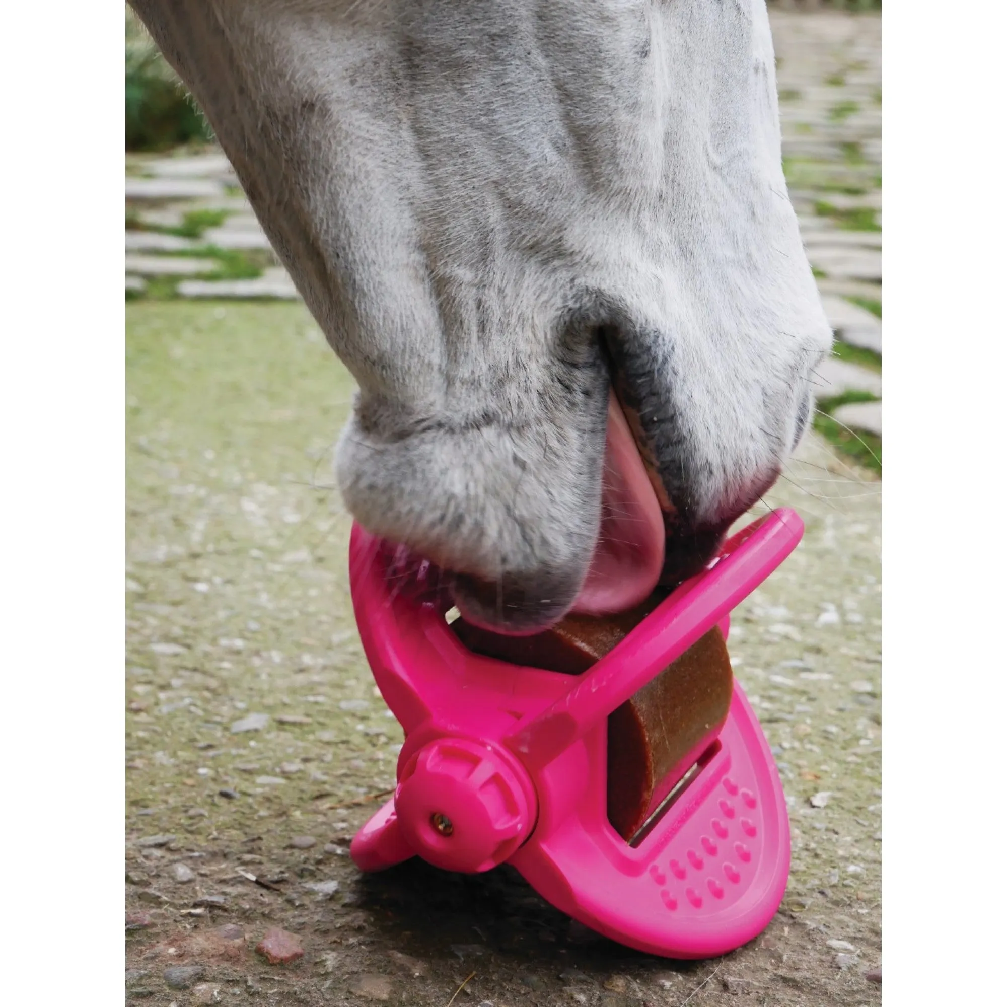 Bizzy Horse Bizzy Ball