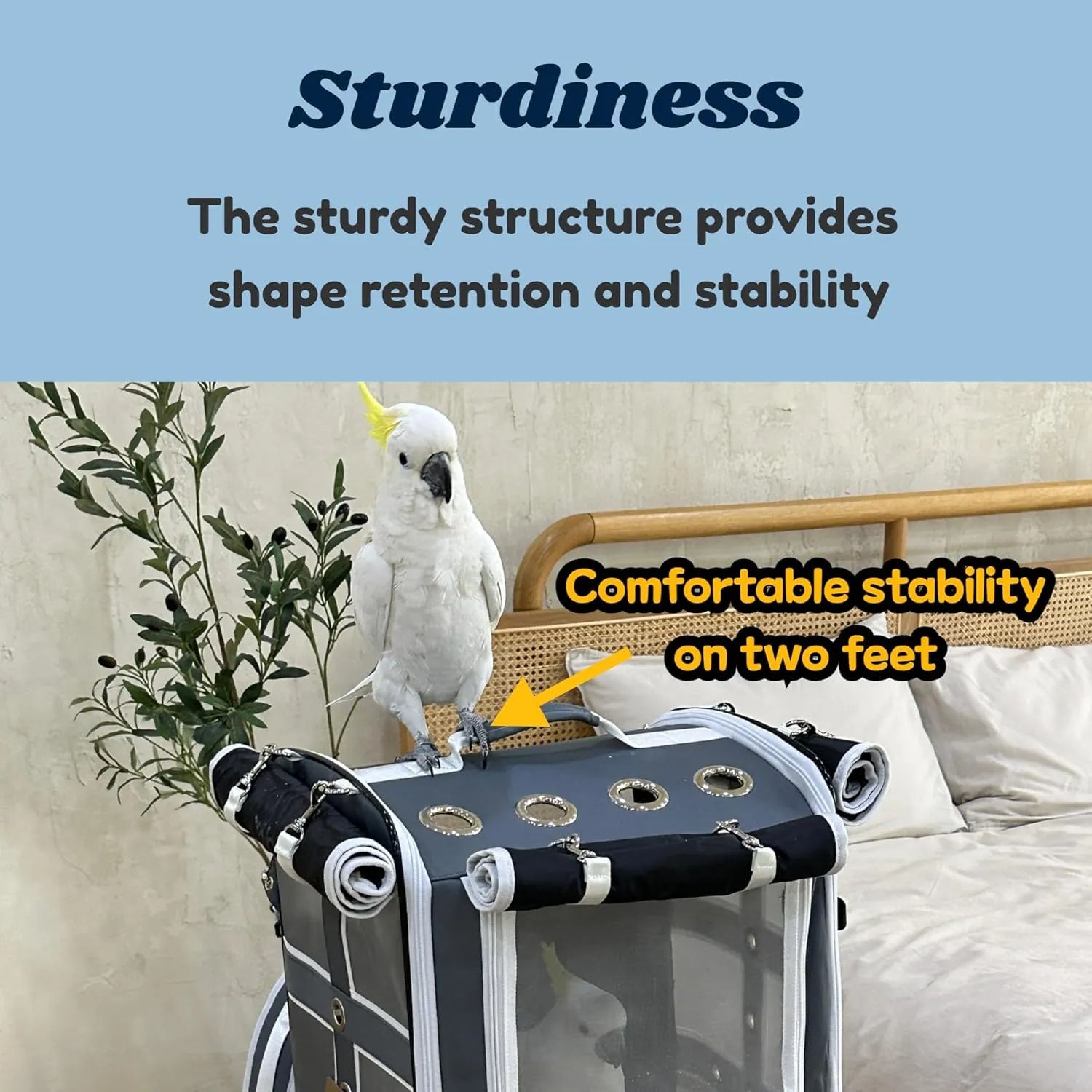 Cockatoo Carrier Backpack-Parrot Travel Cage with Wood Perch and Food Bowl, Stainless Steel Tray (Charcoal Gray, Large Birds (for Cockatoos))
