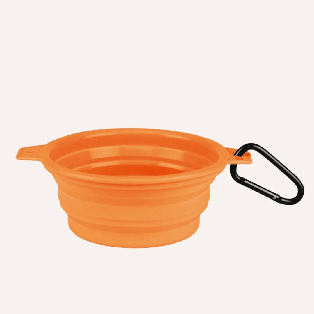 Collapsible Pet Bowl with Clip – Compact, Reusable & Easy to Clean