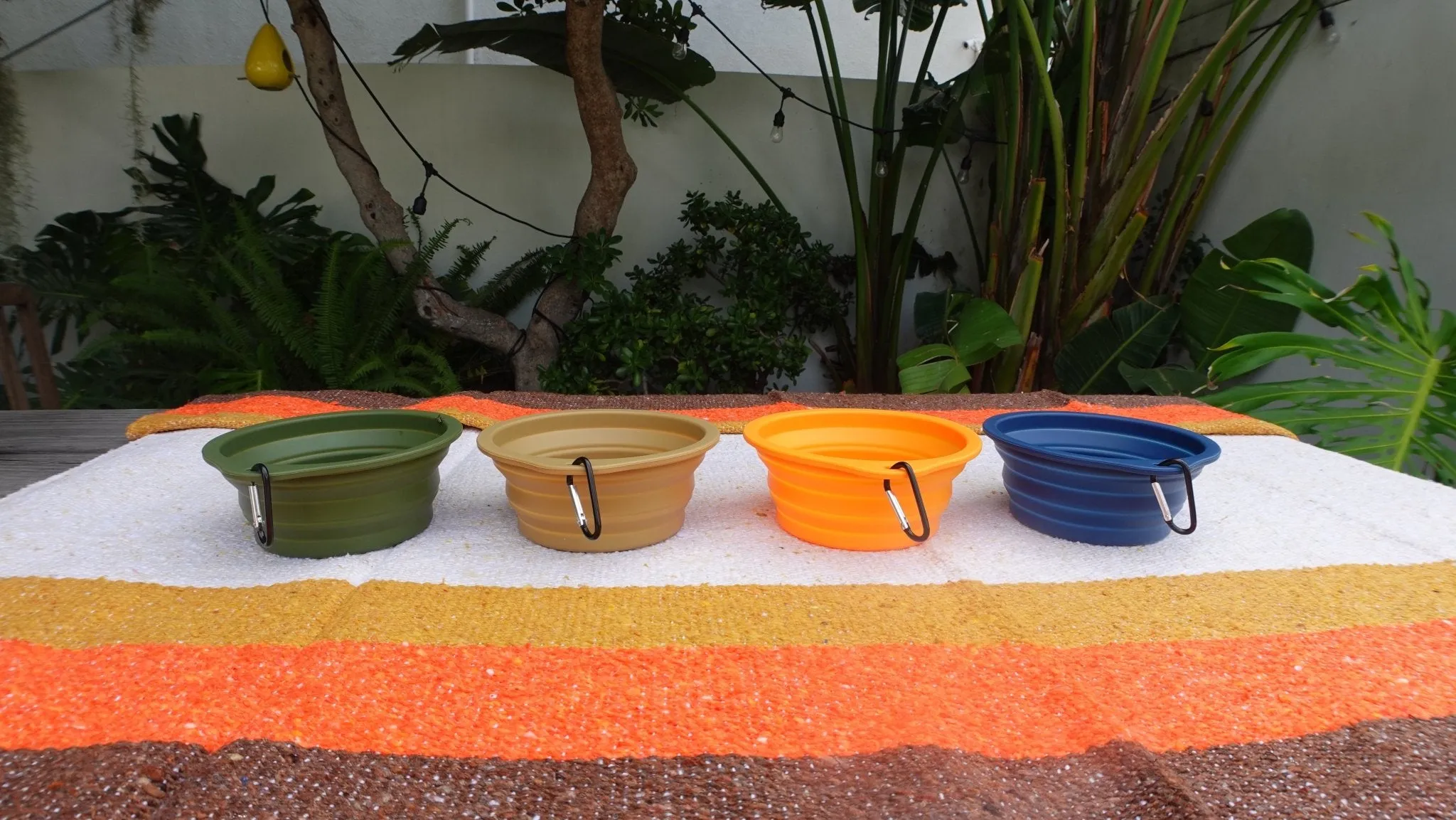 Collapsible Pet Bowl with Clip – Compact, Reusable & Easy to Clean