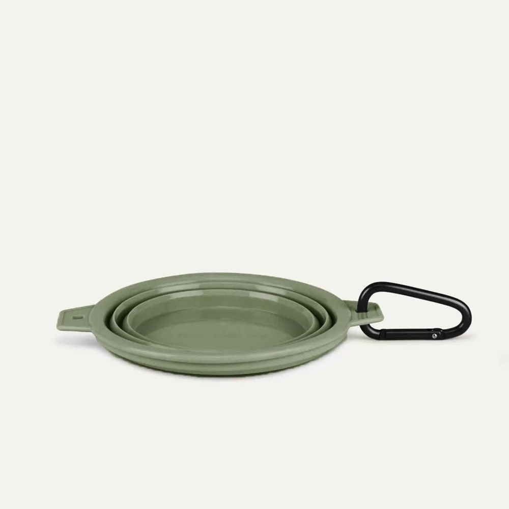 Collapsible Pet Bowl with Clip – Compact, Reusable & Easy to Clean