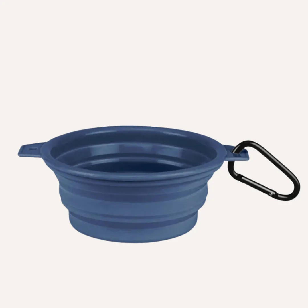 Collapsible Pet Bowl with Clip – Compact, Reusable & Easy to Clean