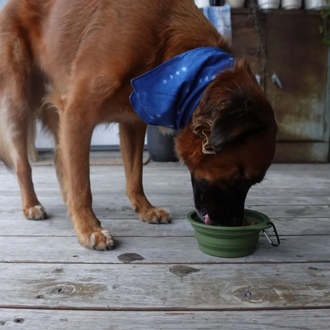 Collapsible Pet Bowl with Clip – Compact, Reusable & Easy to Clean