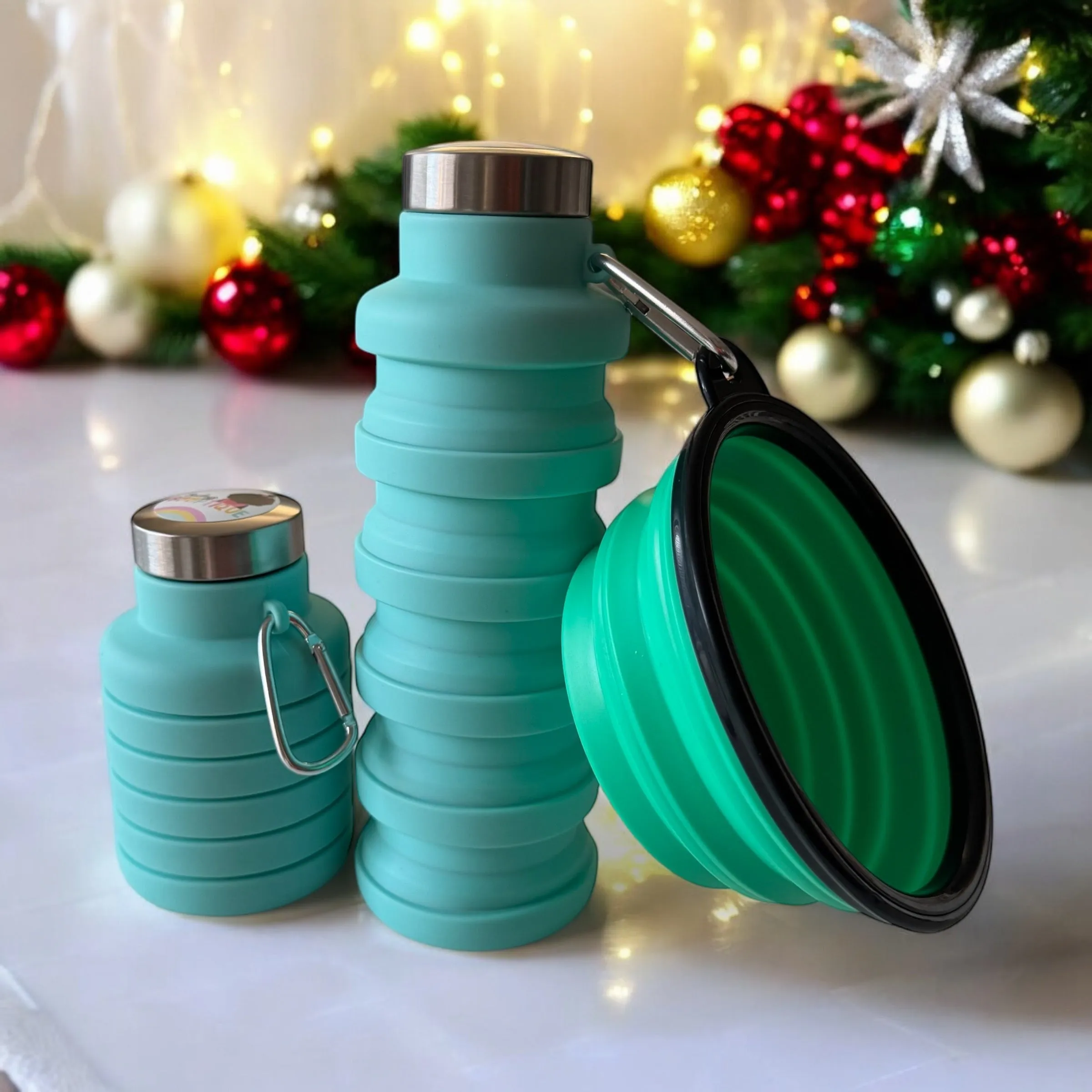 Collapsible water bottle & bowl set