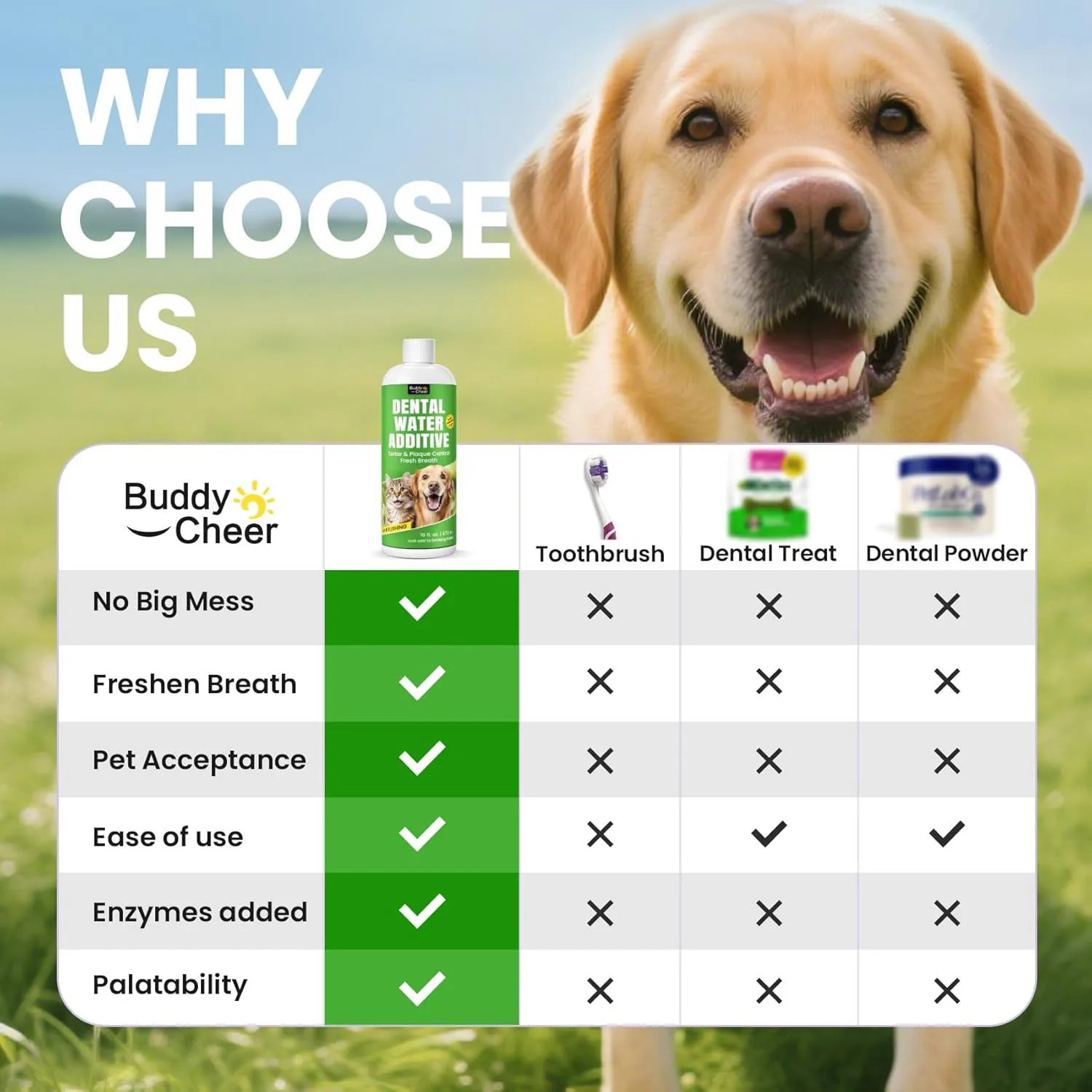 Dog Breath Freshener  Enzymatic Dog Dental Water Additive for Teeth Claning  Freshens Breath & Reduces Tartar  Easy Dog Mouthwash Cleaner for Teeth & Gums  No Brushing Needed, Uncented, 16oz