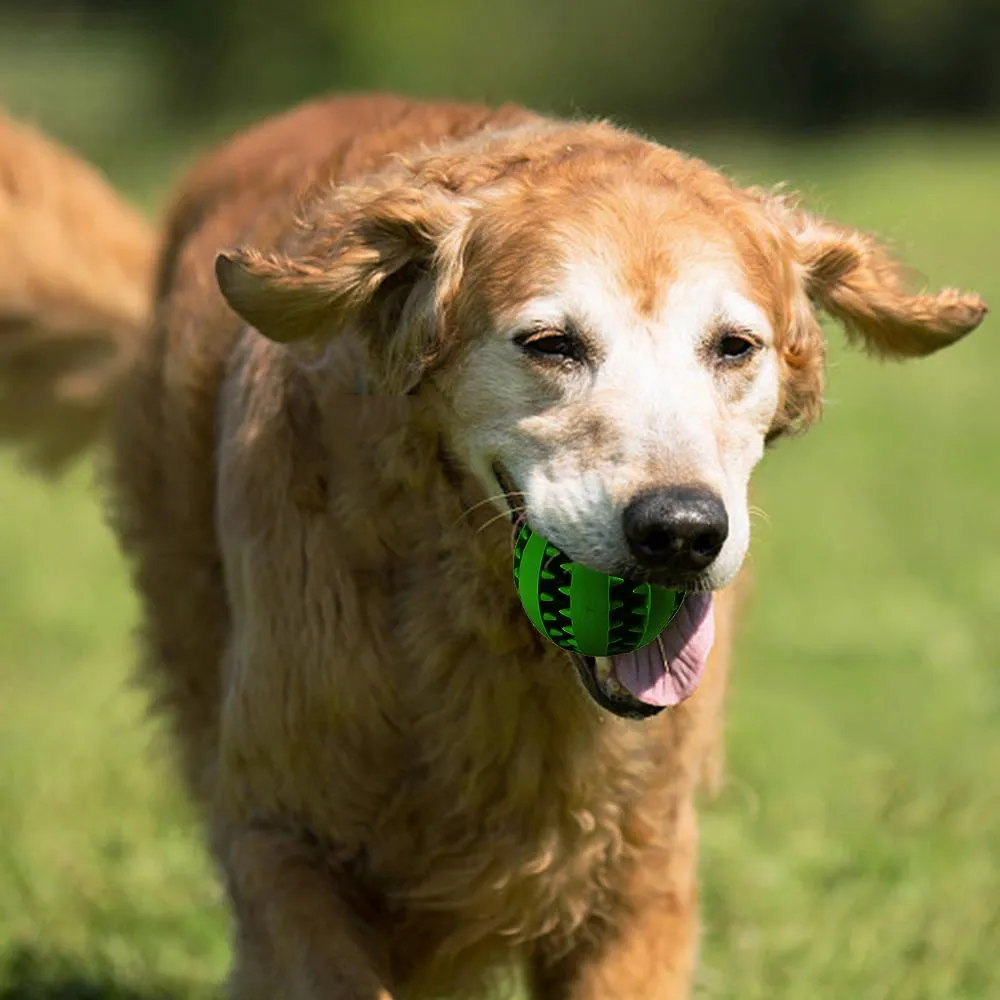 Dog Treat Dispenser Ball - Fill with Treats