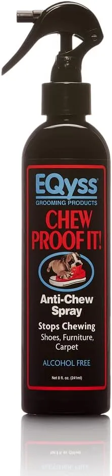 EQyss ! -  - ,