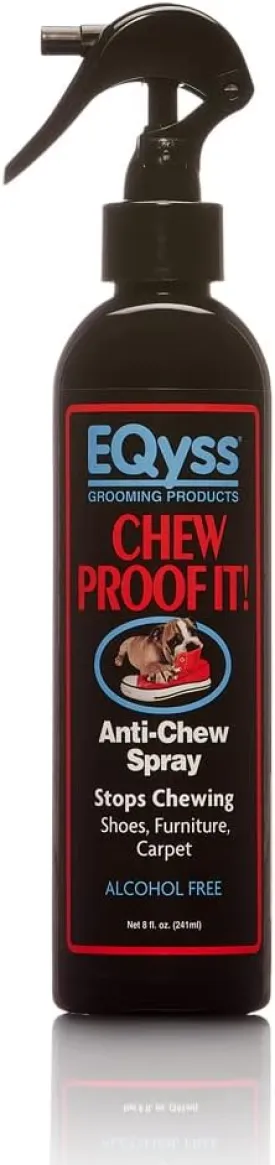 EQyss ! -  - ,