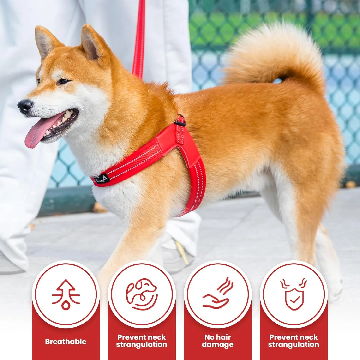 EXCELLENT ELITE SPANKER No Pull Dog Harness Step-in Adjustable Reflective Vest Soft Padded Easy Pet Chest Strap with Leash Clips for Small Medium Large Dogs Walking Training(Blue-L)