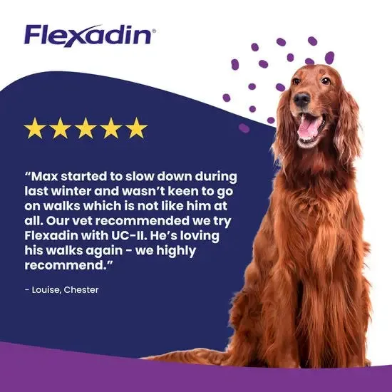 Flexadin UC-II Joint Support Supplement for Adult Dogs