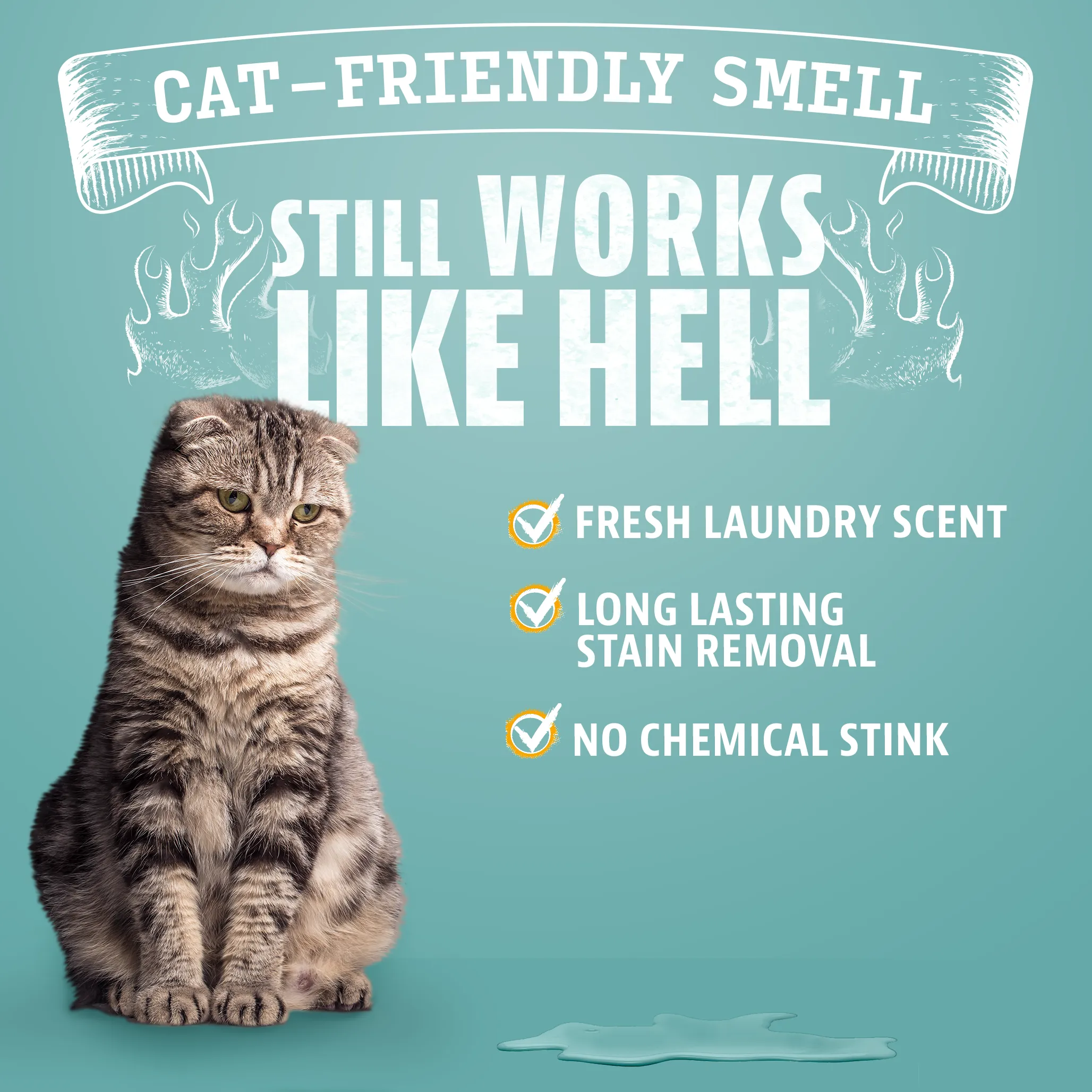 Fresh Scent Pet Stain & Odor Remover