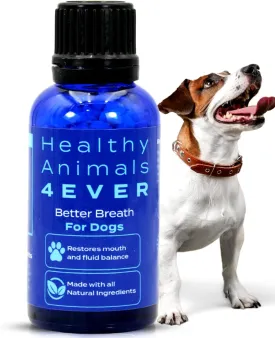 HealthyAnimals4Ever Bad Breath for Dogs Pellets - Dissolvable - No Brushing - for Clean Teeth, Plaque & Tartar Control - All-Natural, Non-GMO, Organic - Preservative & Chemical Free - 300 ct