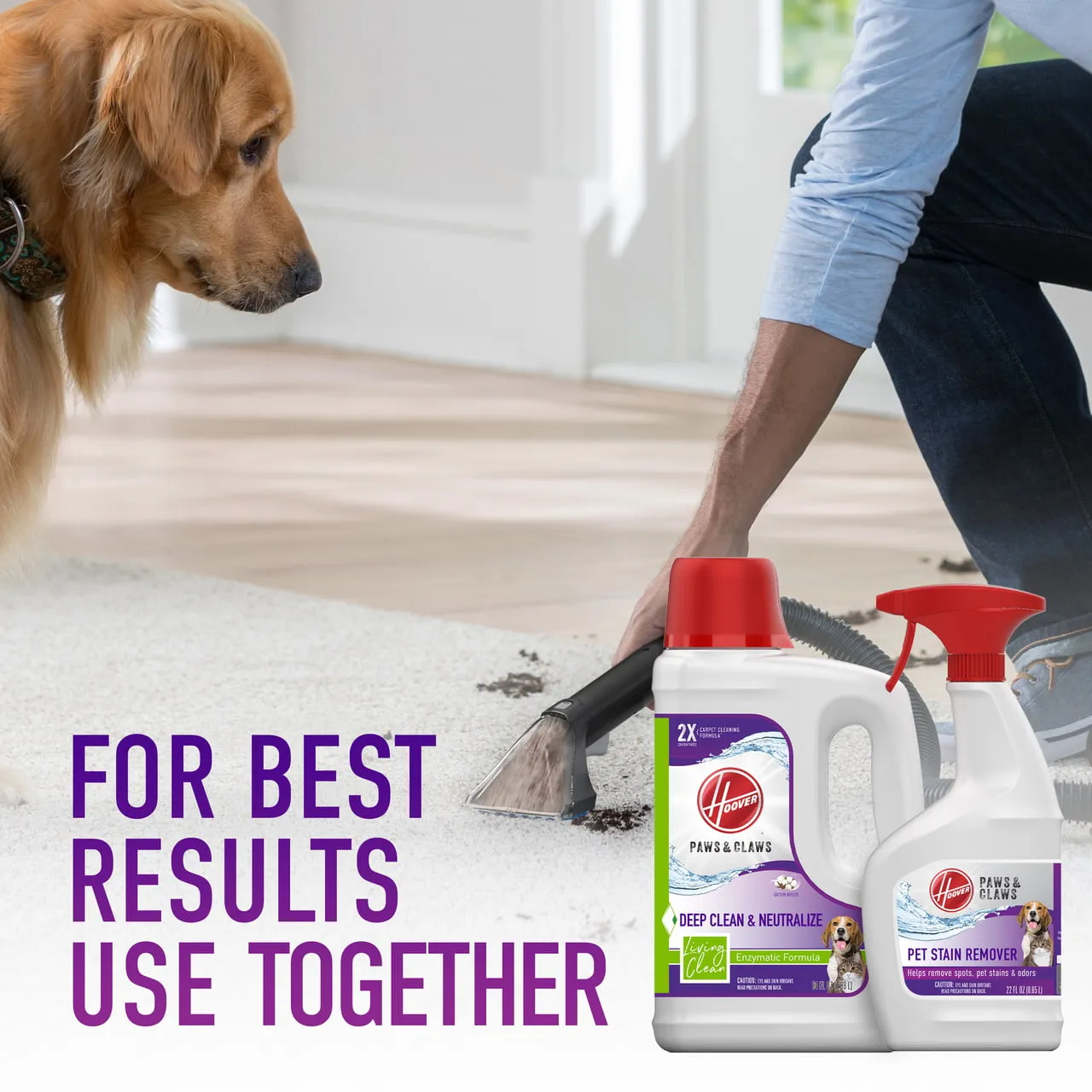 Hoover Pet Stain & Odor with Stain Guard Carpet Cleaner Solution