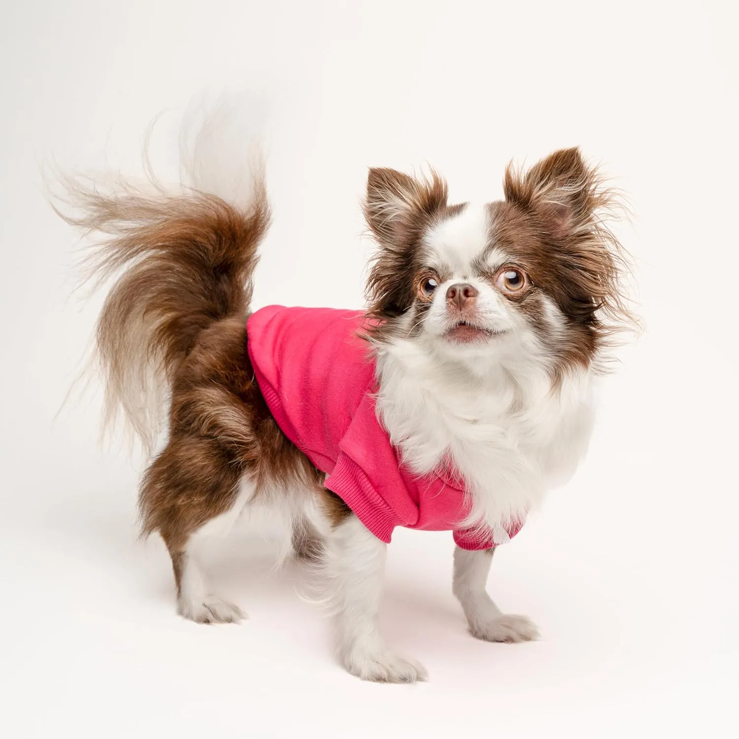I Chews You to Be My Furever Valentine's Day Dog Hoodie Fleece Lined Pullover Sweatshirt with Leash Hole (Red, Medium 1219)