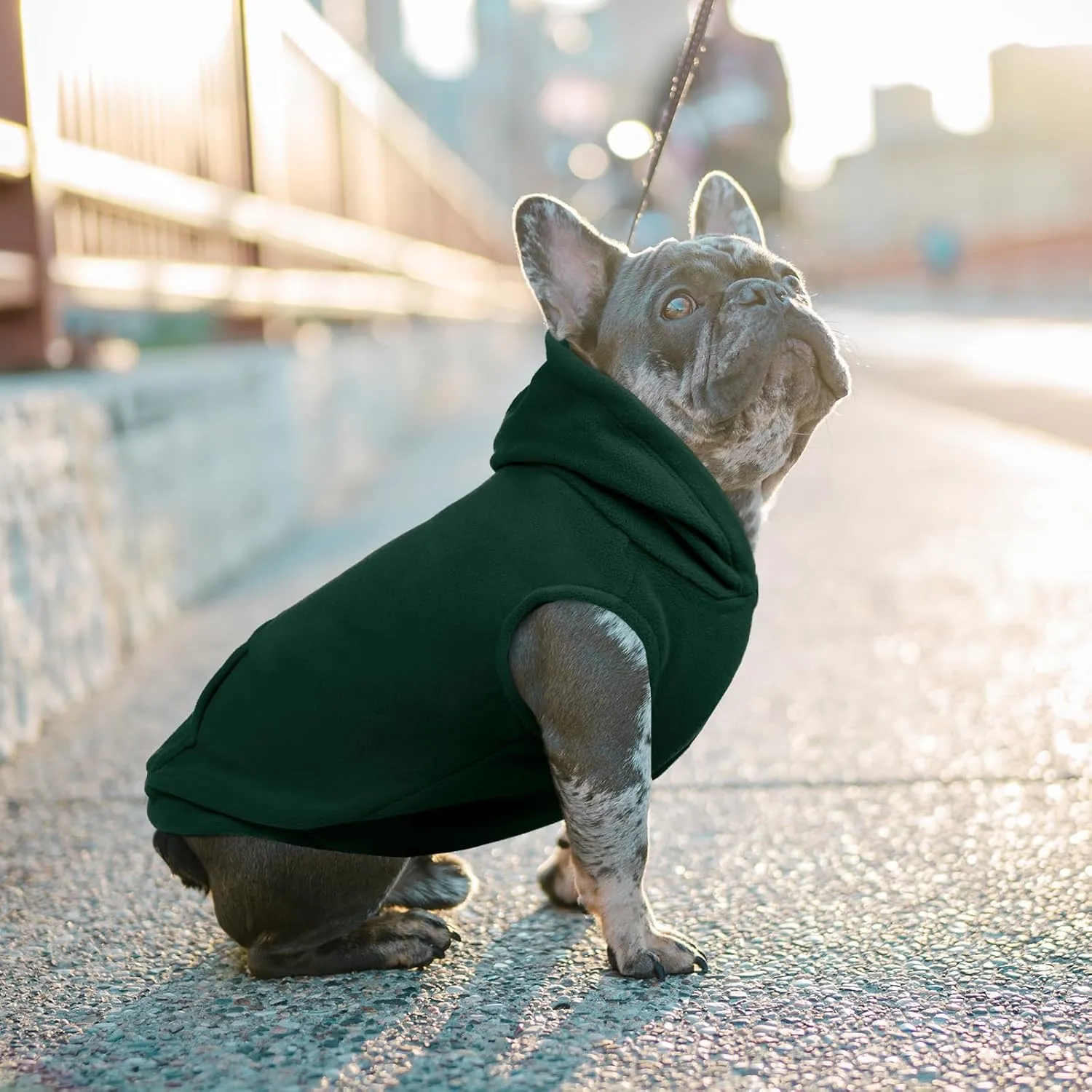 IECOii Warm Dog Hoodie for Large Dog,Dog Hoodie Fleece Vest with Leash Hole and Pocket,Cold Weather Hoodie for Dog Girl Boy,Extra Large Dog Sweatshirt Dog Winter Coat for Doberman,Great Dane,Green,4XL
