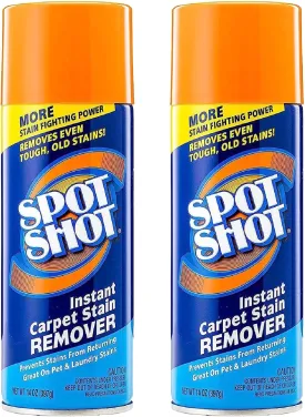 Instant Carpet Stain Remover Aerosol 14 oz can - 2 Pack