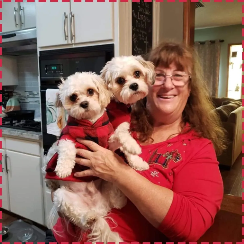 KOOLTAIL Small Dog Winter Jacket, Pet Vest Sweater with Pocket and Leash Hole, Windproof Cold Weather Dog Coats for Boys and Girls, Christmas Red Plaid