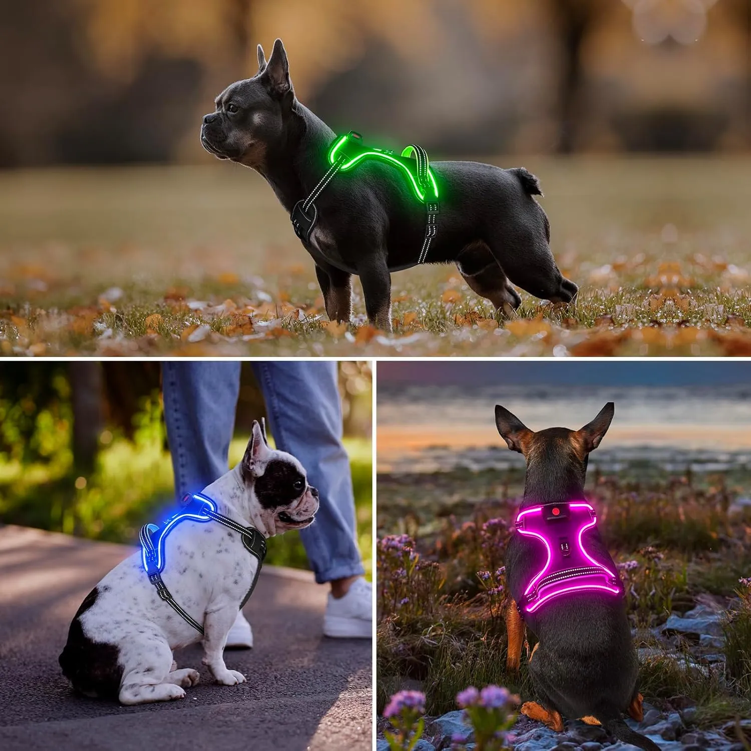 Light Up Dog Harness, No Pull LED Dog Harness with Handle, Rechargeable Lighted Safety Vest for Small Medium Large Dogs, Adjustable Soft Dog Lights for Night Walking