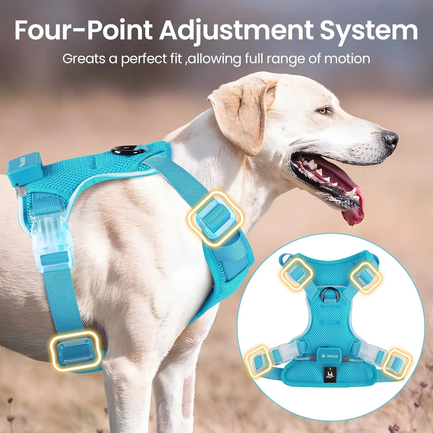 Light Up Dog Harness - Rechargeable LED Reflective Pet Vest for Night Walking - Adjustable No-Pull Safety Harness for Small Medium Large Dogs, Blue, XS