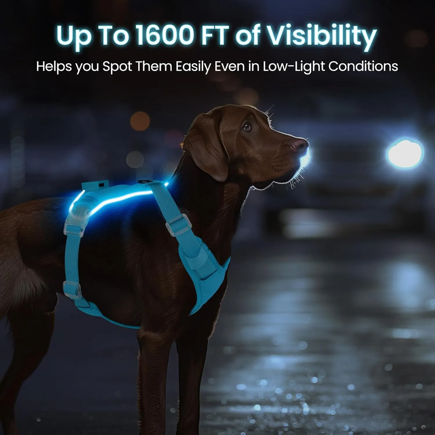 Light Up Dog Harness - Rechargeable LED Reflective Pet Vest for Night Walking - Adjustable No-Pull Safety Harness for Small Medium Large Dogs, Blue, XS