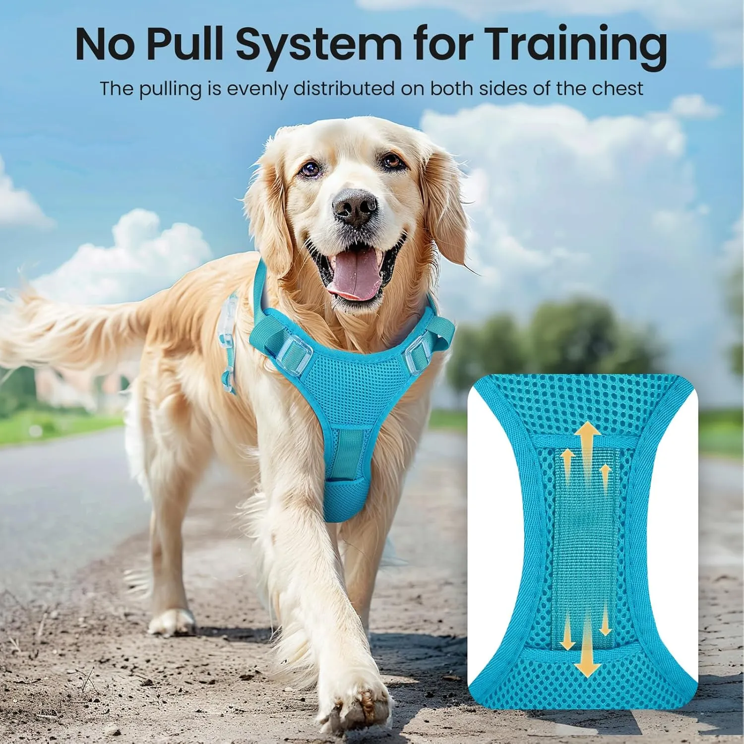 Light Up Dog Harness - Rechargeable LED Reflective Pet Vest for Night Walking - Adjustable No-Pull Safety Harness for Small Medium Large Dogs, Blue, XS