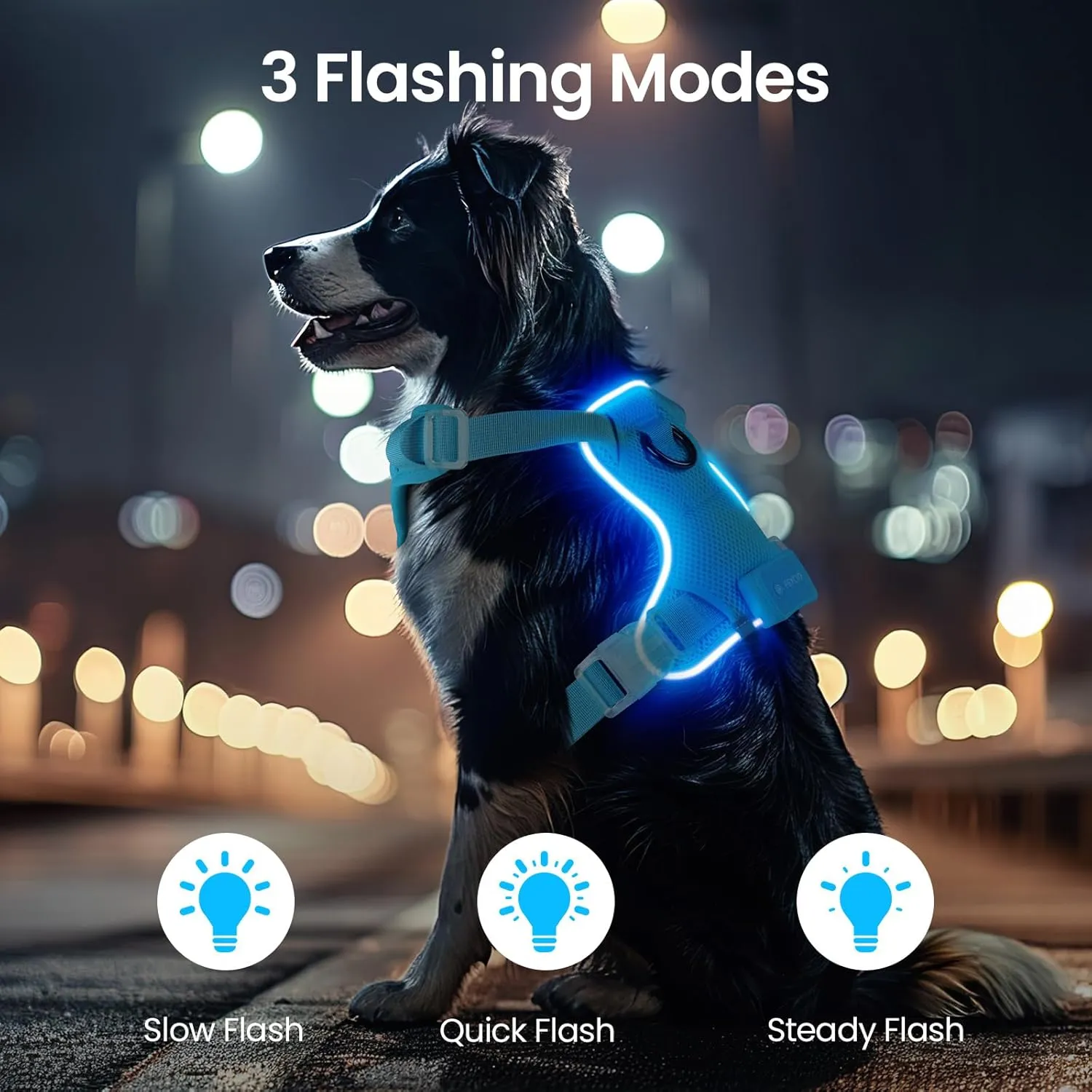 Light Up Dog Harness - Rechargeable LED Reflective Pet Vest for Night Walking - Adjustable No-Pull Safety Harness for Small Medium Large Dogs, Blue, XS