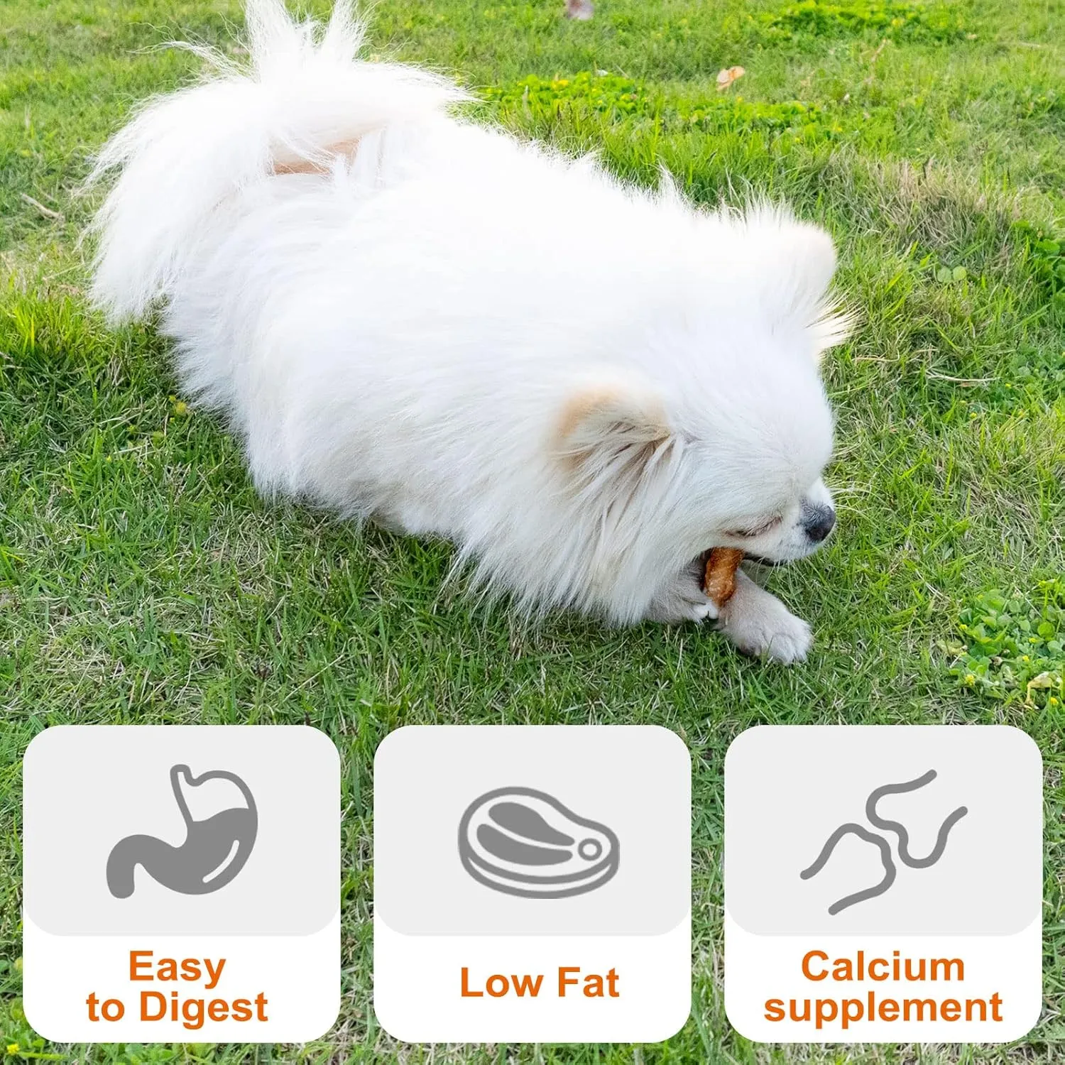 MON2SUN Dog Treats, Chicken Wrapped Calcium Bones Without Rawhide, 2.3 Inch Training Treats for Teeth Cleaning and Fresh Breath, Chews for Puppy and Small Dogs (28 Count - Pack of 1)