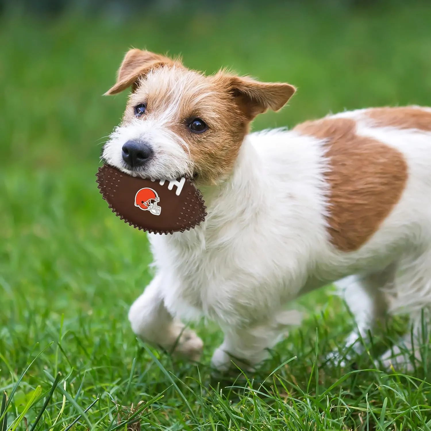 NFL Cleveland Browns Mega- ,