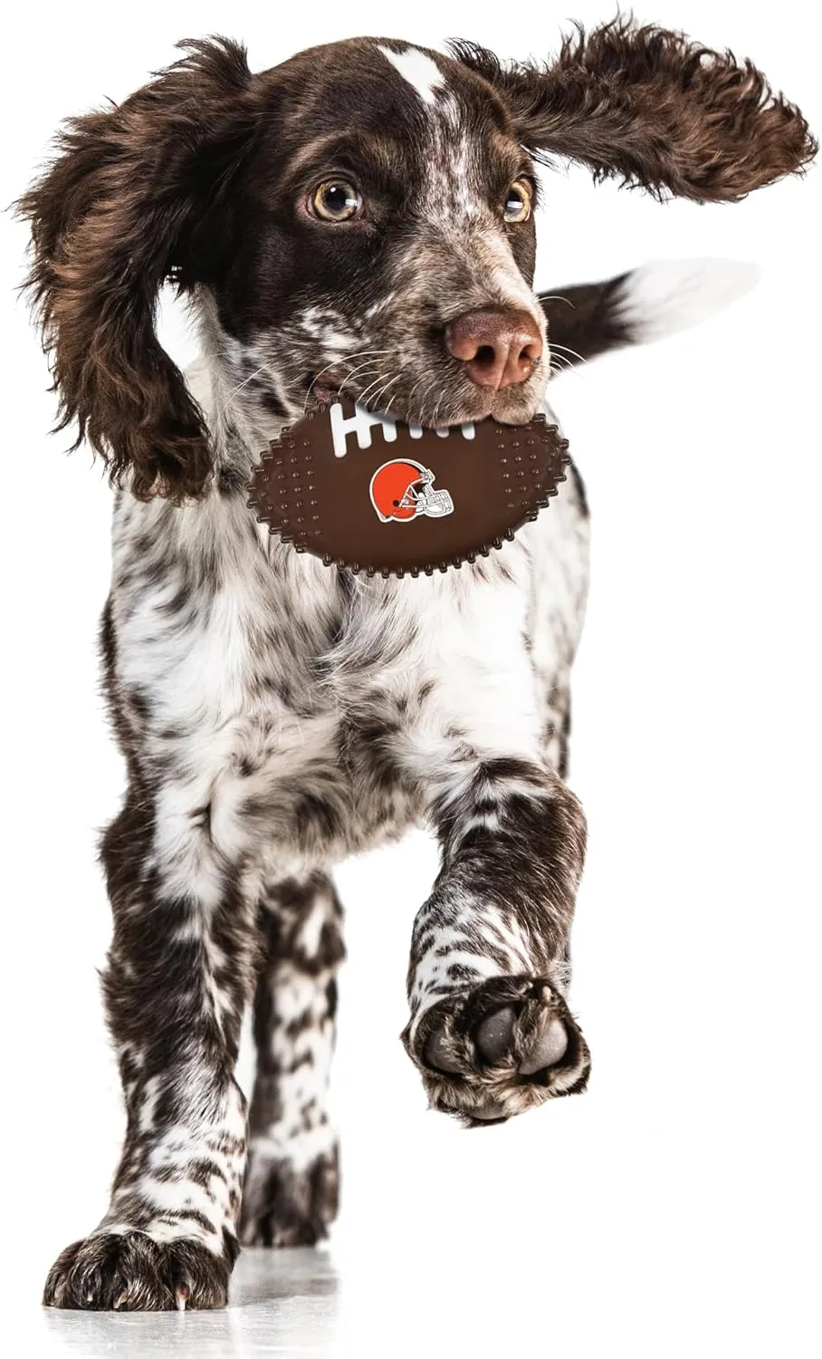 NFL Cleveland Browns Mega- ,