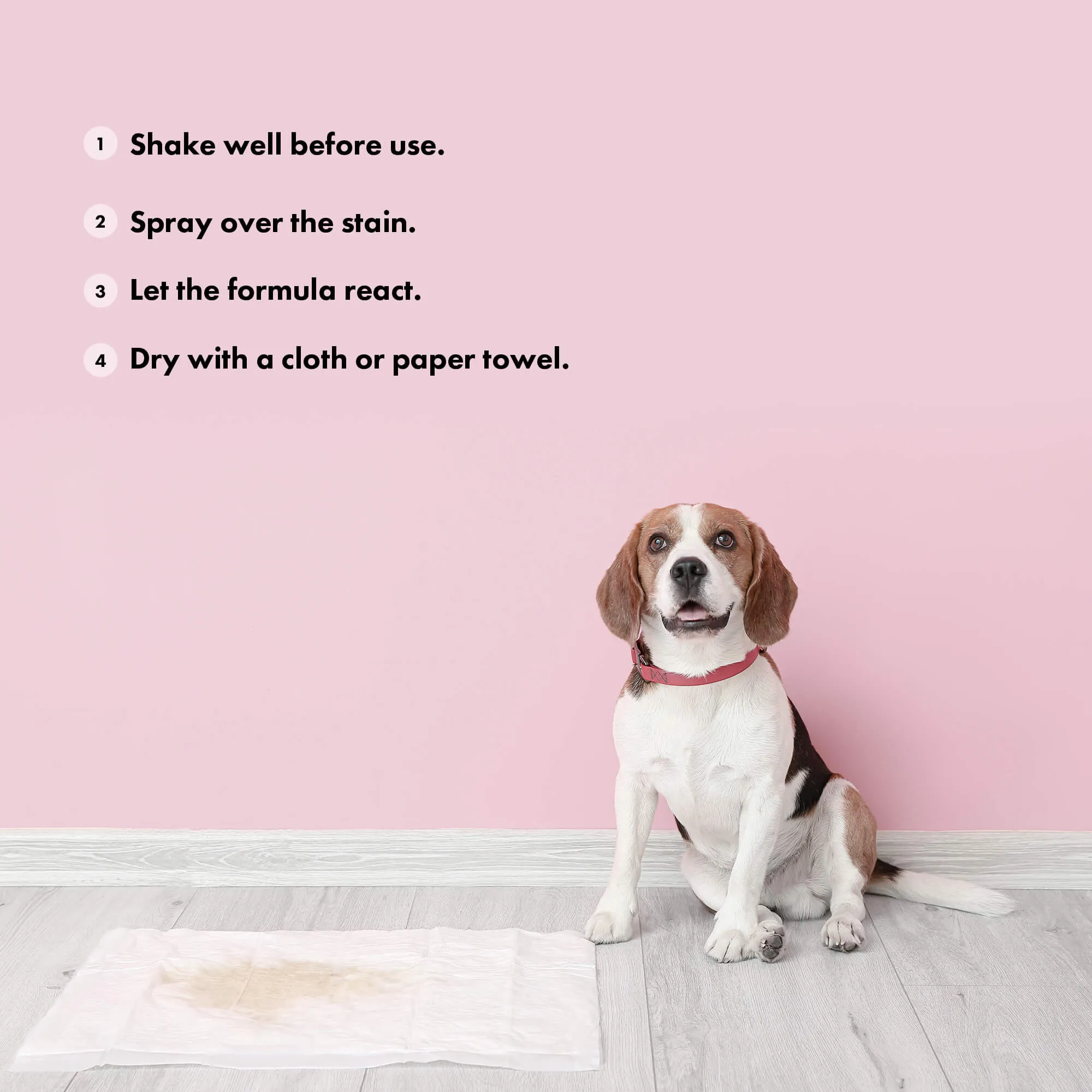 Odour & Stain Remover