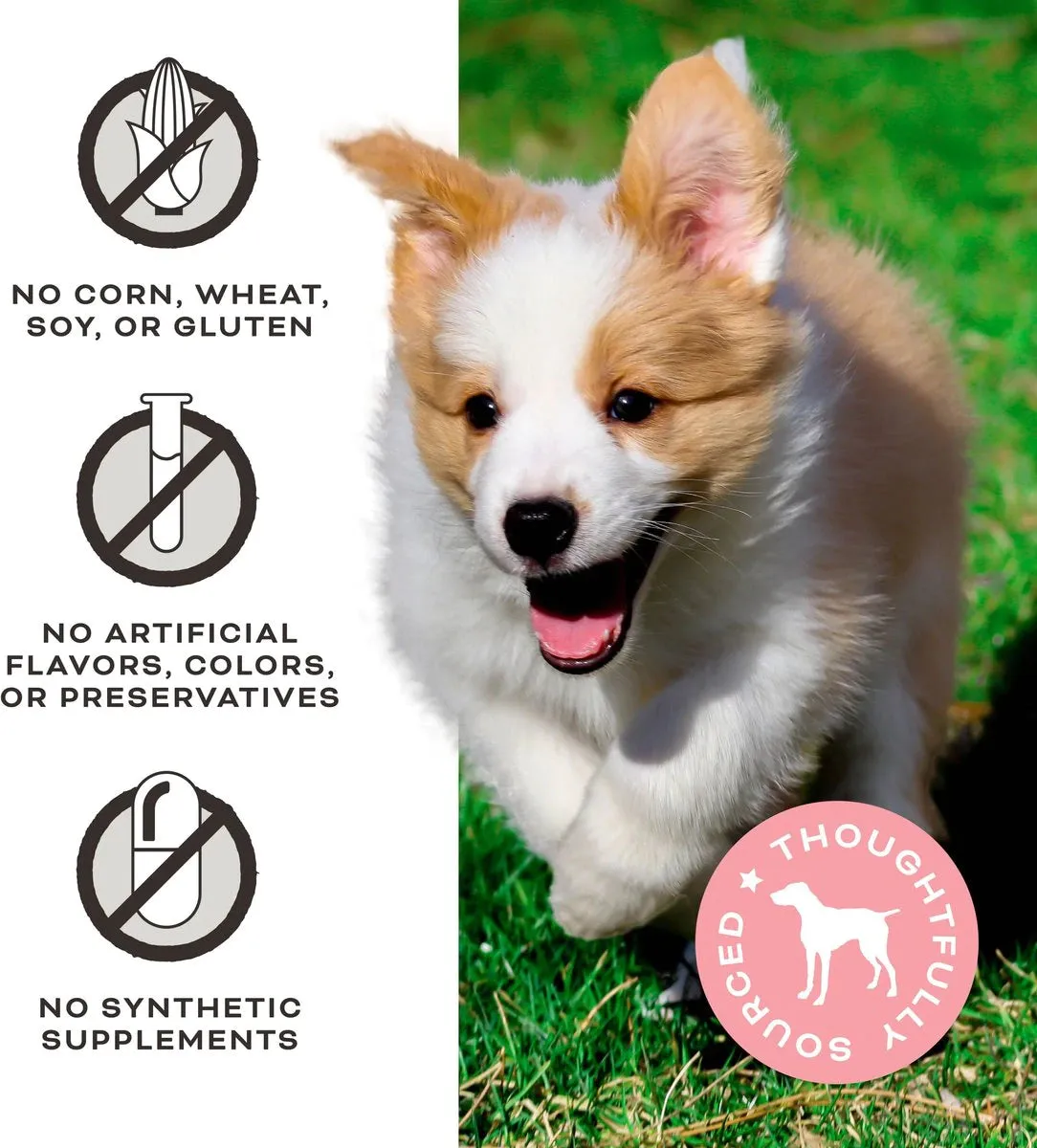Primal Crunchy Freeze-Dried Chicken & Banana Treats