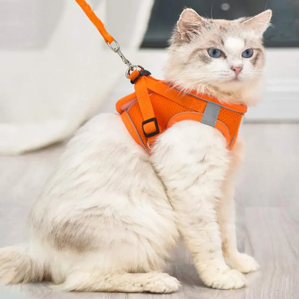 Puppy Harness and Leash Set, Escape Proof Dog Cat Vest Harness for Cats Small Medium Dogs, Adjustable Reflective Step in Harness,Soft Mesh Comfort Fit No Pull No Choke (Small(11.8"-13.3"), Orange)
