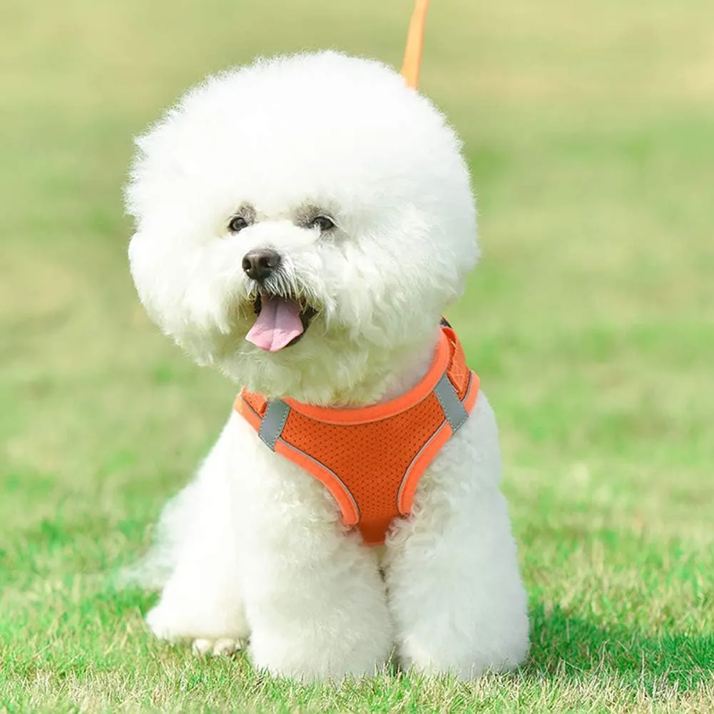 Puppy Harness and Leash Set, Escape Proof Dog Cat Vest Harness for Cats Small Medium Dogs, Adjustable Reflective Step in Harness,Soft Mesh Comfort Fit No Pull No Choke (Small(11.8"-13.3"), Orange)