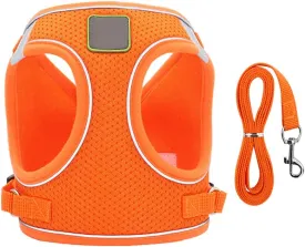 Puppy Harness and Leash Set, Escape Proof Dog Cat Vest Harness for Cats Small Medium Dogs, Adjustable Reflective Step in Harness,Soft Mesh Comfort Fit No Pull No Choke (Small(11.8"-13.3"), Orange)